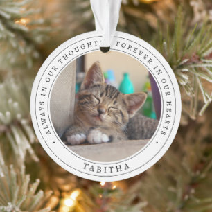 Eenvoudige herdenkingskat huisdier foto ornament
