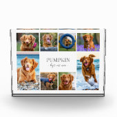 Eenvoudige Hond Pet Fotocollage Fotoblokken (Voorkant)