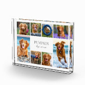 Eenvoudige Hond Pet Fotocollage Fotoblokken (Rechts)