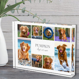 Eenvoudige Hond Pet Fotocollage Fotoblokken