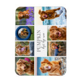 Eenvoudige Hond Pet Fotocollage Magneet (Verticaal)