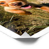 Eenvoudige Hond Wandelen Huisdier Sitter Huisdier  Perfect Poster (Hoek)