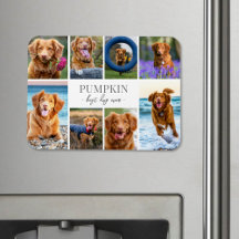 Eenvoudige honden foto collage