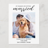 Eenvoudige hondenfoto opslaan Datum Aankondigingskaart (Voorkant)