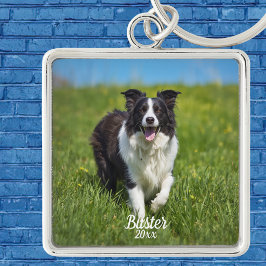 Eenvoudige huisdierfoto Border Collie Personalisee Sleutelhanger