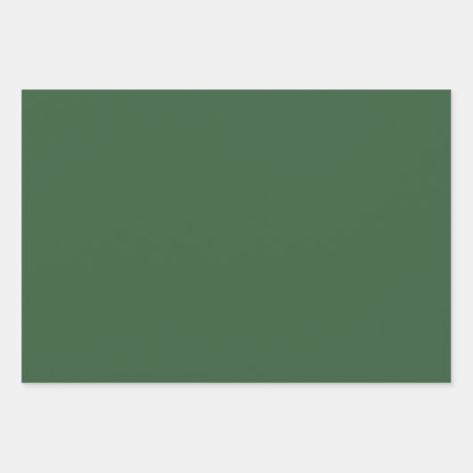 Eenvoudige Hunter Groen en Goud Patroon en Solid Inpakpapier Vel (Voorkant 2)