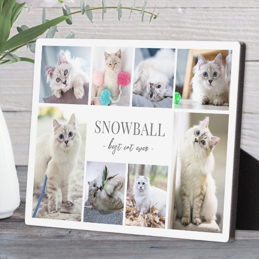 Eenvoudige katten foto collage fotoplaat