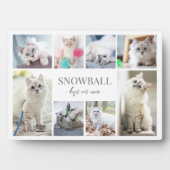 Eenvoudige katten foto collage fotoplaat (voorkant)