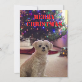Eenvoudige kerstkaart met vet gedrukt kaart