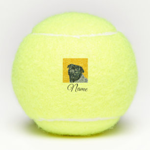 Eenvoudige kleurrijke dier-naam foto aangepaste wo tennisballen