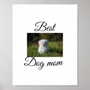 Eenvoudige kleurrijke dier naam toevoegen foto hon poster