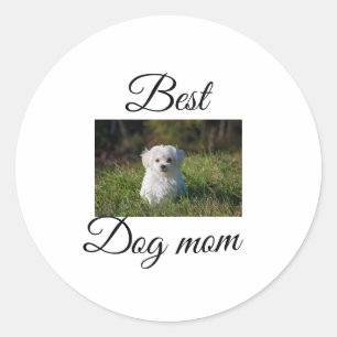 Eenvoudige kleurrijke dier naam toevoegen foto hon ronde sticker