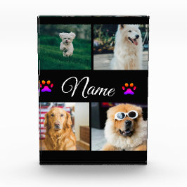 Eenvoudige kleurrijke dieren voeg naam foto collag