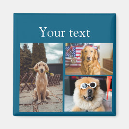 Eenvoudige kleurrijke dieren voeg naam foto collag magneet