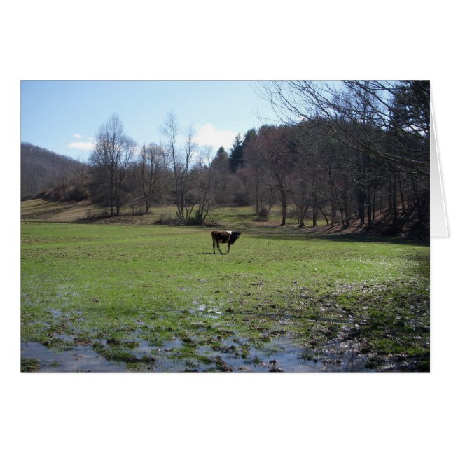 Eenvoudige Koe (Voorkant Horizontaal)