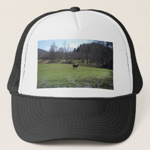 Eenvoudige Koe Trucker Pet