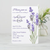 Eenvoudige lavendeprigs kaart (Staand voorkant)