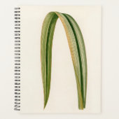 Eenvoudige Leaf Botanic Mom Dad Planner (Voorkant)