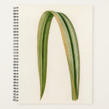 Eenvoudige Leaf Botanic Mom Dad