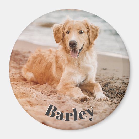 Eenvoudige Minimal Pet Dog Fotonaam Modern Schatti Magneet (Voorkant)