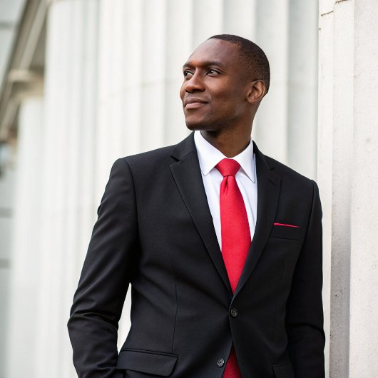 Eenvoudige minimale formele Red Professional Corpo Stropdas