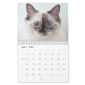 Eenvoudige, minimalistische aangepaste 2022 Blush  Kalender (Mar 2026)