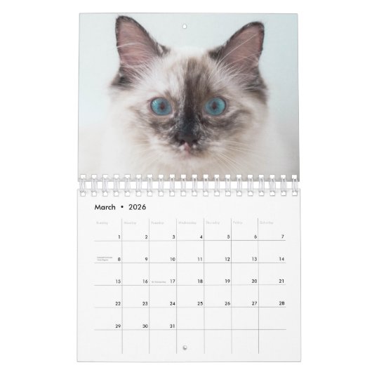 Eenvoudige, minimalistische aangepaste 2022 Blush  Kalender (Mar 2026)