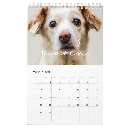 Eenvoudige minimalistische familie fotokalender 20 kalender (Mar 2026)