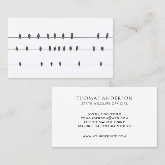 Eenvoudige minimumvogels op draden | Visitekaartje (Voorkant / Achterkant)