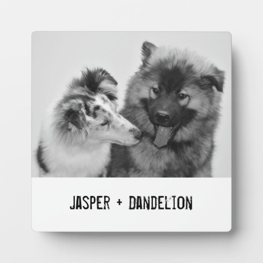 Eenvoudige, moderne aangepaste foto of foto's van  fotoplaat (Voorkant)