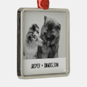 Eenvoudige, moderne aangepaste foto of foto's van metalen ornament (Rechts)