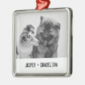 Eenvoudige, moderne aangepaste foto of foto's van metalen ornament (Links)