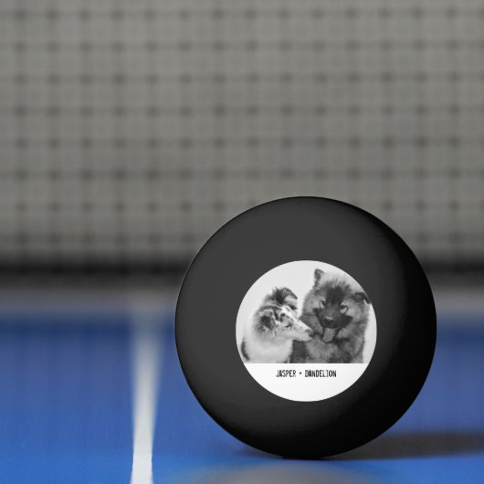 Eenvoudige, moderne aangepaste foto of foto's van  pingpongbal (Net)