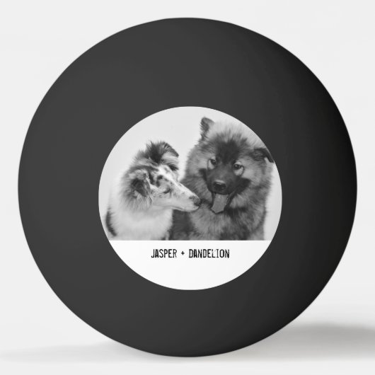 Eenvoudige, moderne aangepaste foto of foto's van  pingpongbal (Voorkant)