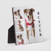 Eenvoudige moderne foto-collage van huisdieren fotoplaat (Voorkant)