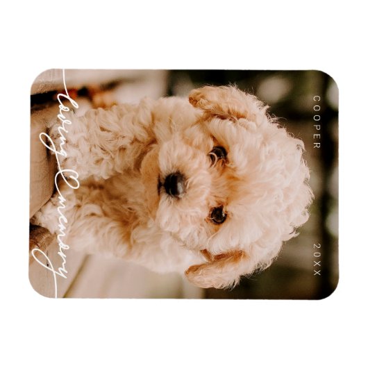 Eenvoudige moderne foto van het geheugen van het t magneet (Horizontaal)