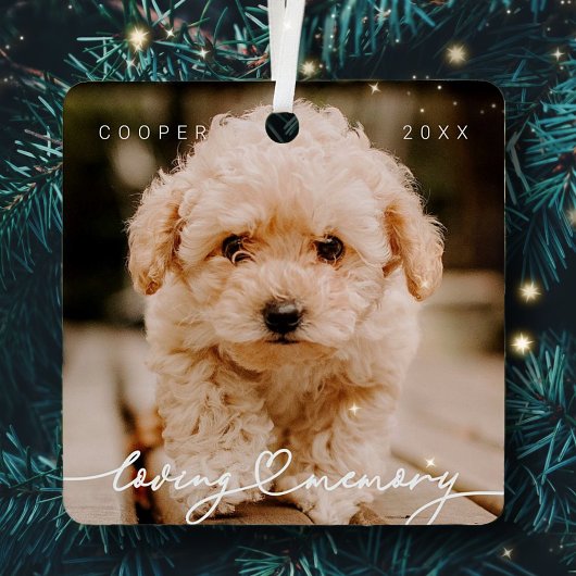 Eenvoudige moderne foto van het geheugen van het t metalen ornament