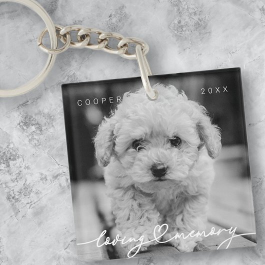 Eenvoudige moderne foto van het geheugen van het t sleutelhanger