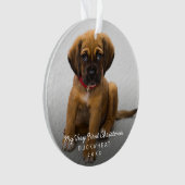 Eenvoudige moderne fotofoto voor eerste kerstmis ornament (voorkant)