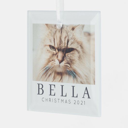 Eenvoudige moderne grafische aangepaste fotofeestd glas ornament (Voorkant links)