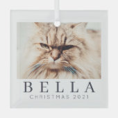 Eenvoudige moderne grafische aangepaste fotofeestd glas ornament (Voorkant)