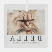 Eenvoudige moderne grafische aangepaste fotofeestd glas ornament (Achterkant)