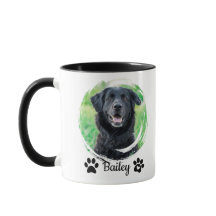 Eenvoudige moderne huisdier foto naam