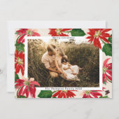 Eenvoudige Moderne Poinsettia Familie Foto Kerstmi Feestdagenkaart (Voorkant)