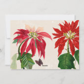 Eenvoudige Moderne Poinsettia Familie Foto Kerstmi Feestdagenkaart (Achterkant)