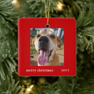 Eenvoudige moderne Red Lijst serie Pet Photo Holid Keramisch Ornament