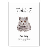 Eenvoudige moderne Waterverf Cat Wedding Kaart (Voorkant)