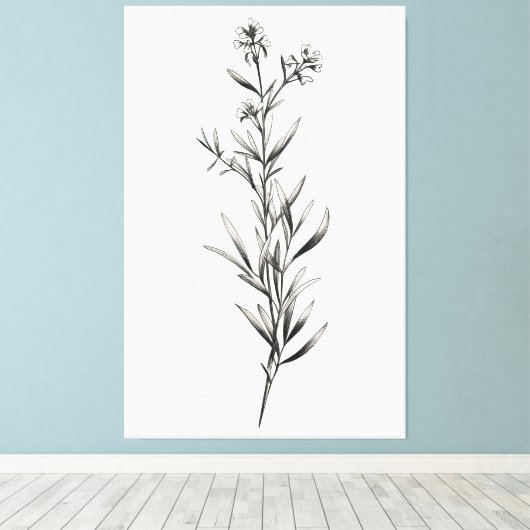 Eenvoudige monochrome rozemarijn schets canvas afdruk (Insitu (Houten vloer))