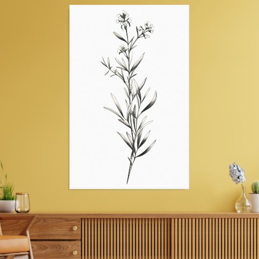 Eenvoudige monochrome rozemarijn schets canvas afdruk (Insitu (Woonkamer))