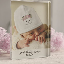 Eenvoudige Nieuwe Baby Aangepaste Kraamkamer Foto 